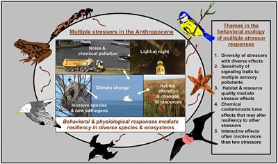 Editorial: Behavioral ecological insights into organismal responses to anthropogenic environmental change: a multi-stress perspective